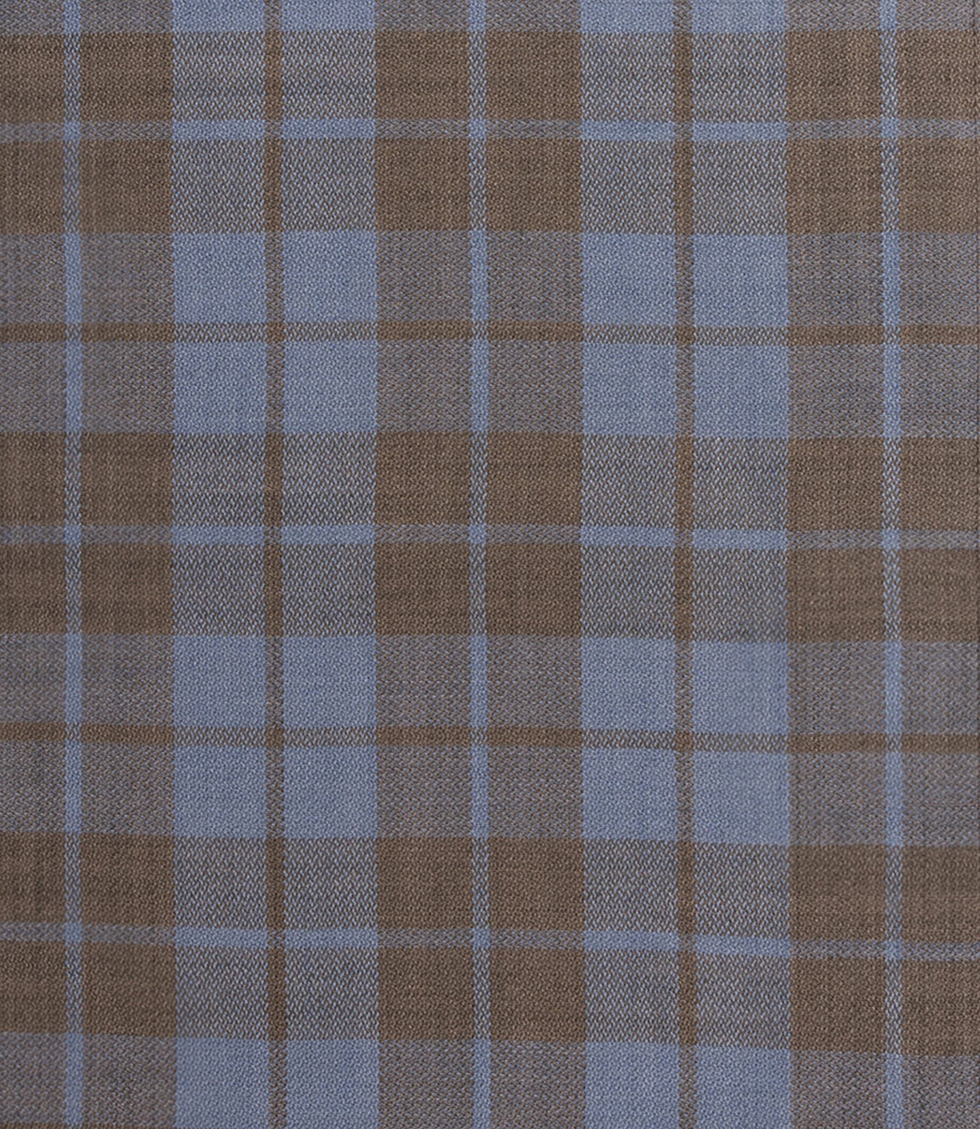 SALLY BLUE AND BROWN